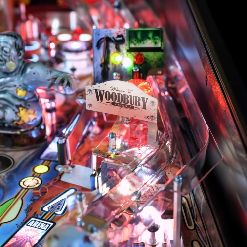 The Walking Dead Remastered Premium