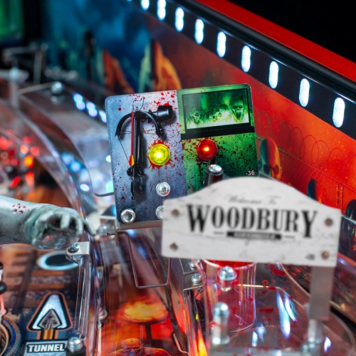 The Walking Dead Remastered Limited Edition