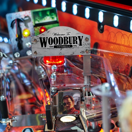 The Walking Dead Remastered Limited Edition