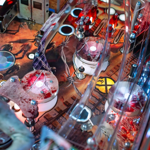 The Walking Dead Remastered Limited Edition