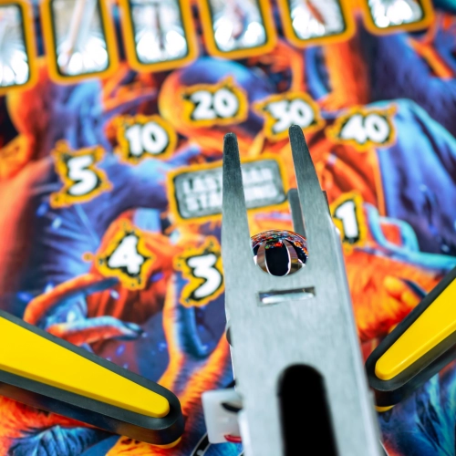 The Walking Dead Remastered Limited Edition